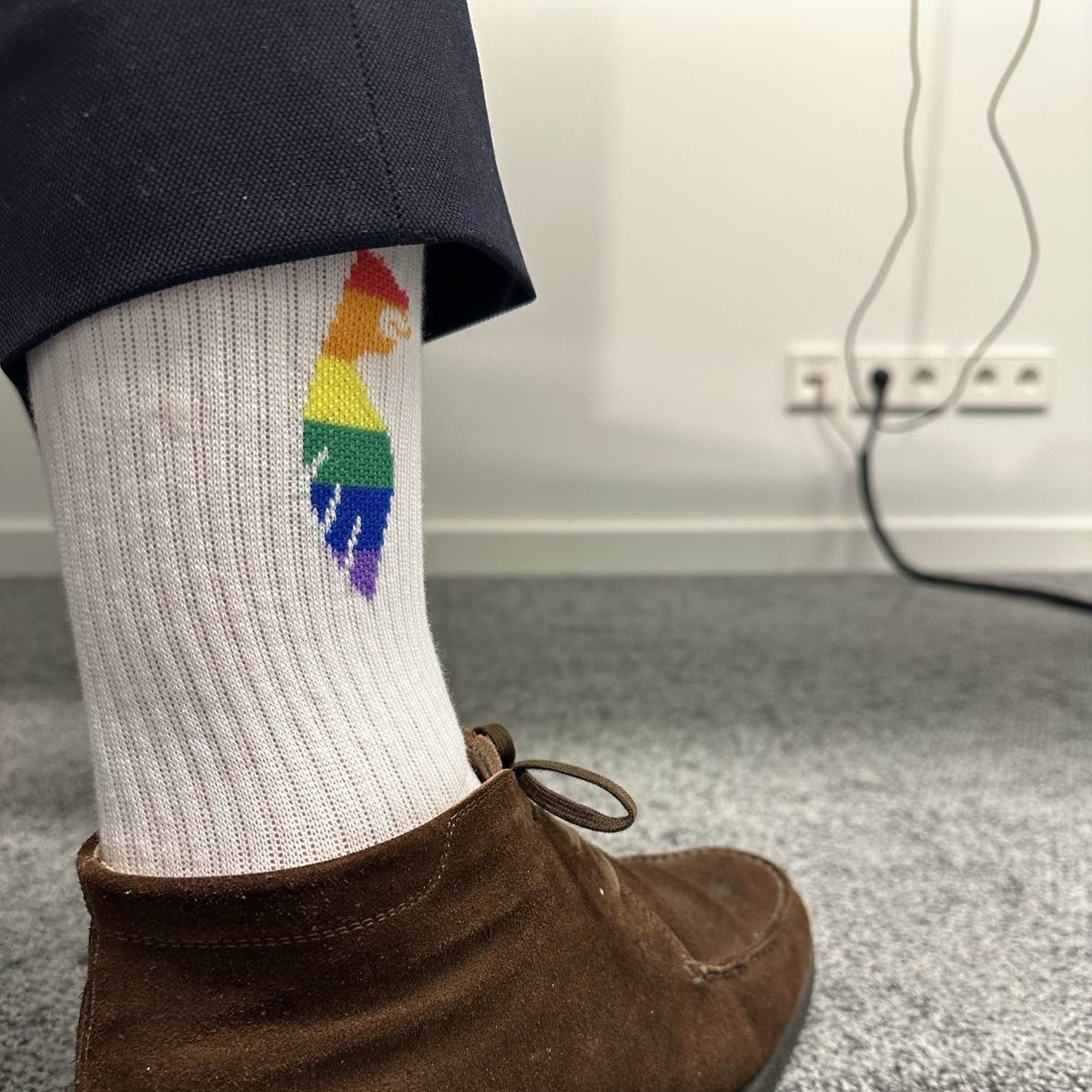 Pride Socken